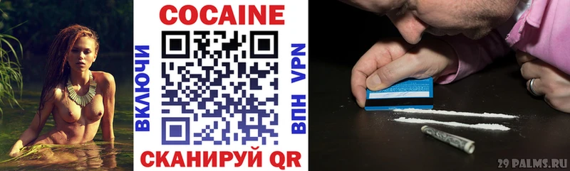 Купить закладки  Людиново  COCAIN 97% 
