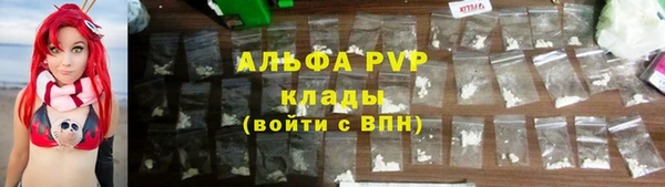 сатива Волосово