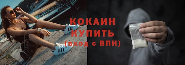 сатива Волосово