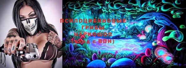 сатива Волосово