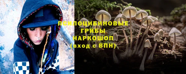сатива Волосово
