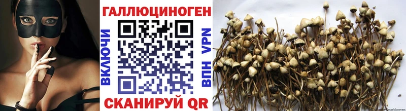 Купить закладки  Людиново  Псилоцибиновые грибы Psilocybine cubensis 